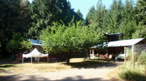 Hutchens family home, studio, garden