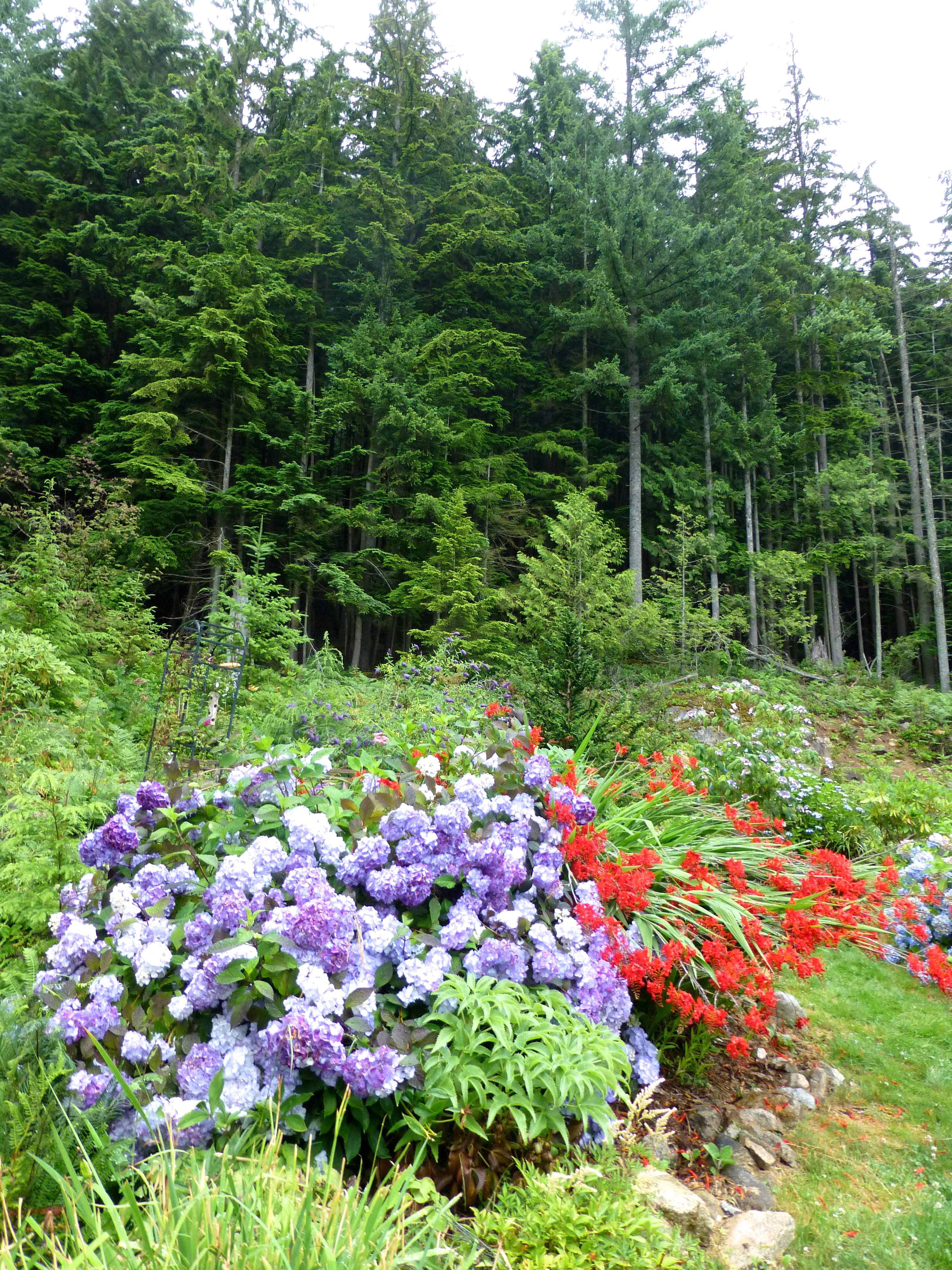 Read more about the article Gardeners’ tour