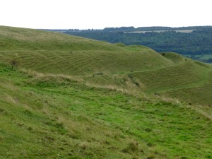 Rings around the top of Hambledon Hill