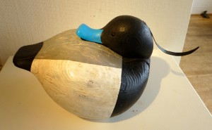 Guy Taplin, Duck