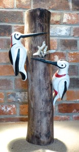 woodpeckers