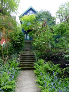 Front entrance with bluebells