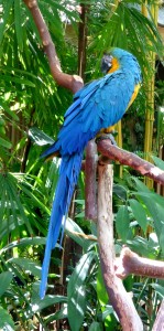P1050936
