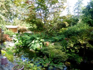 In the garden