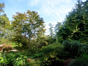 garden view