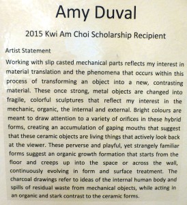 amy duval text