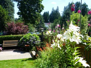garden