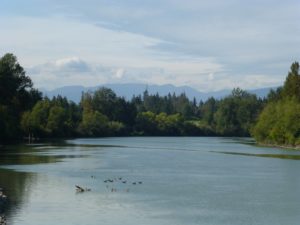 Fraser River looking West