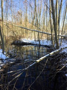 Wintry walk around Como Lake