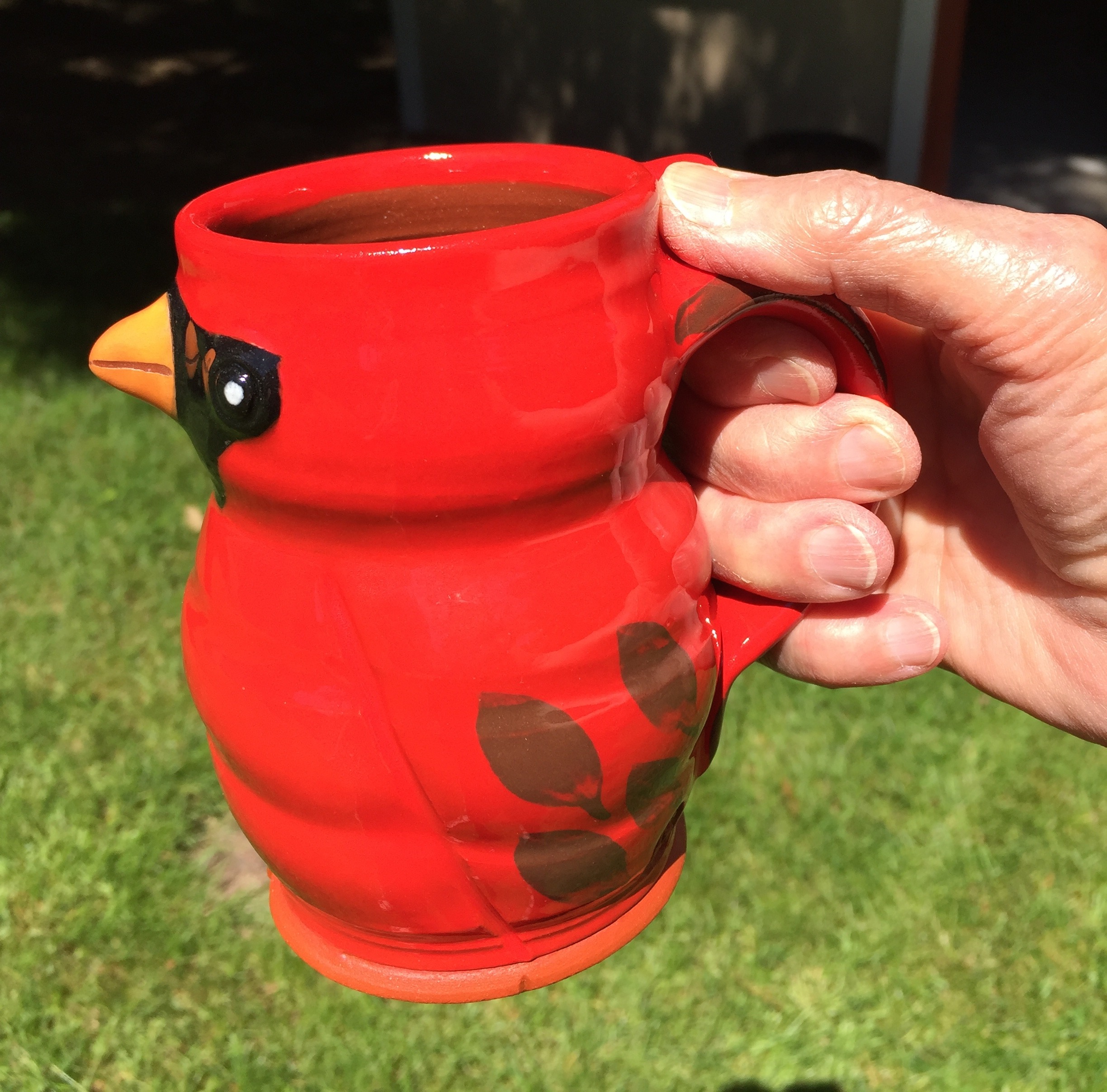 Read more about the article Can a Bird be a Mug?