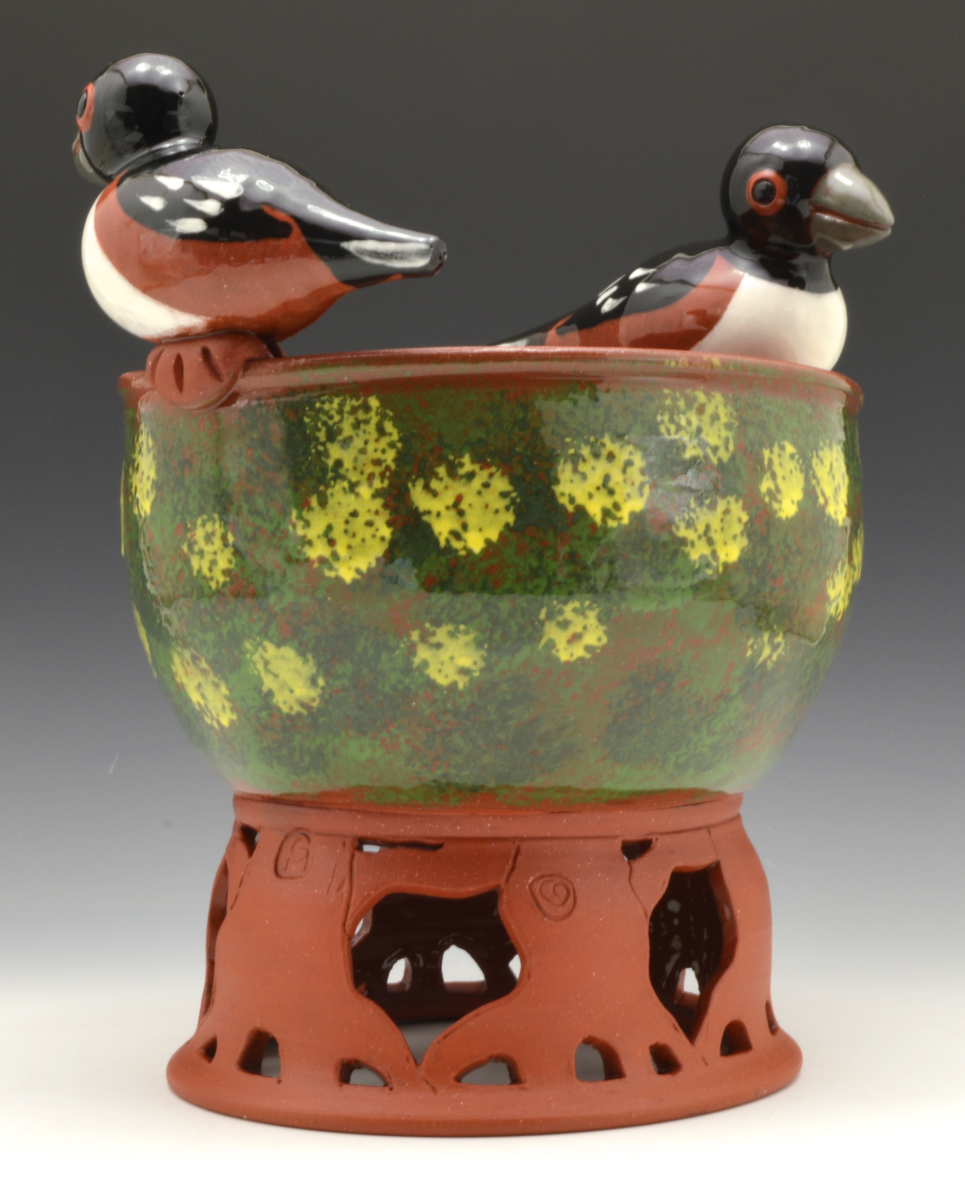 Read more about the article Bird Vessels, a Conure and Culture Days