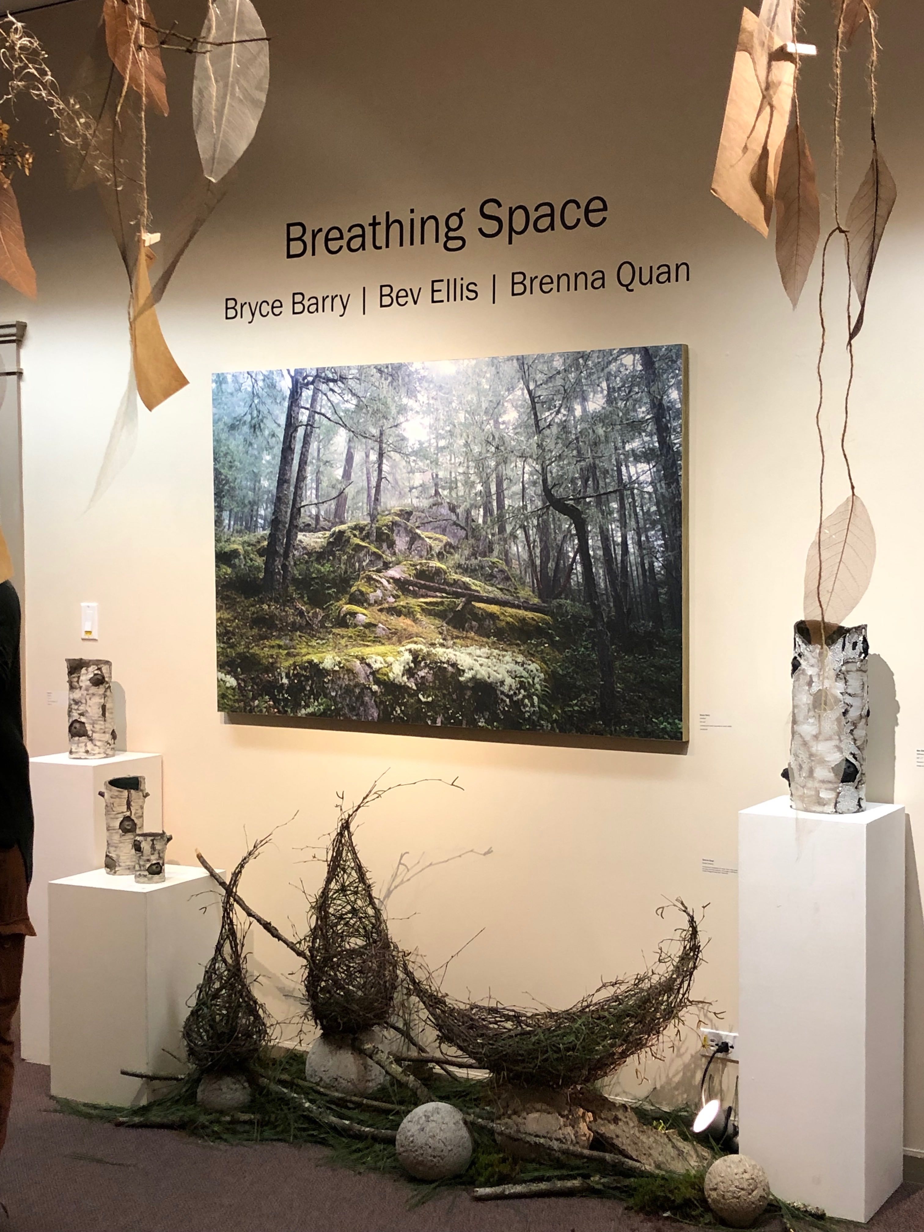 Read more about the article Breathing Space at PMAC