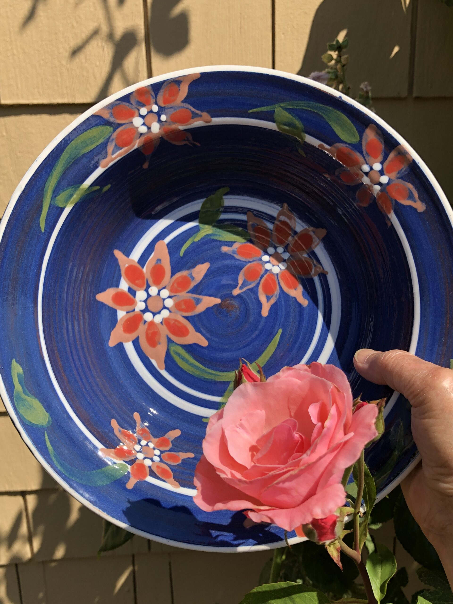 Read more about the article Particular Patterns on Plates