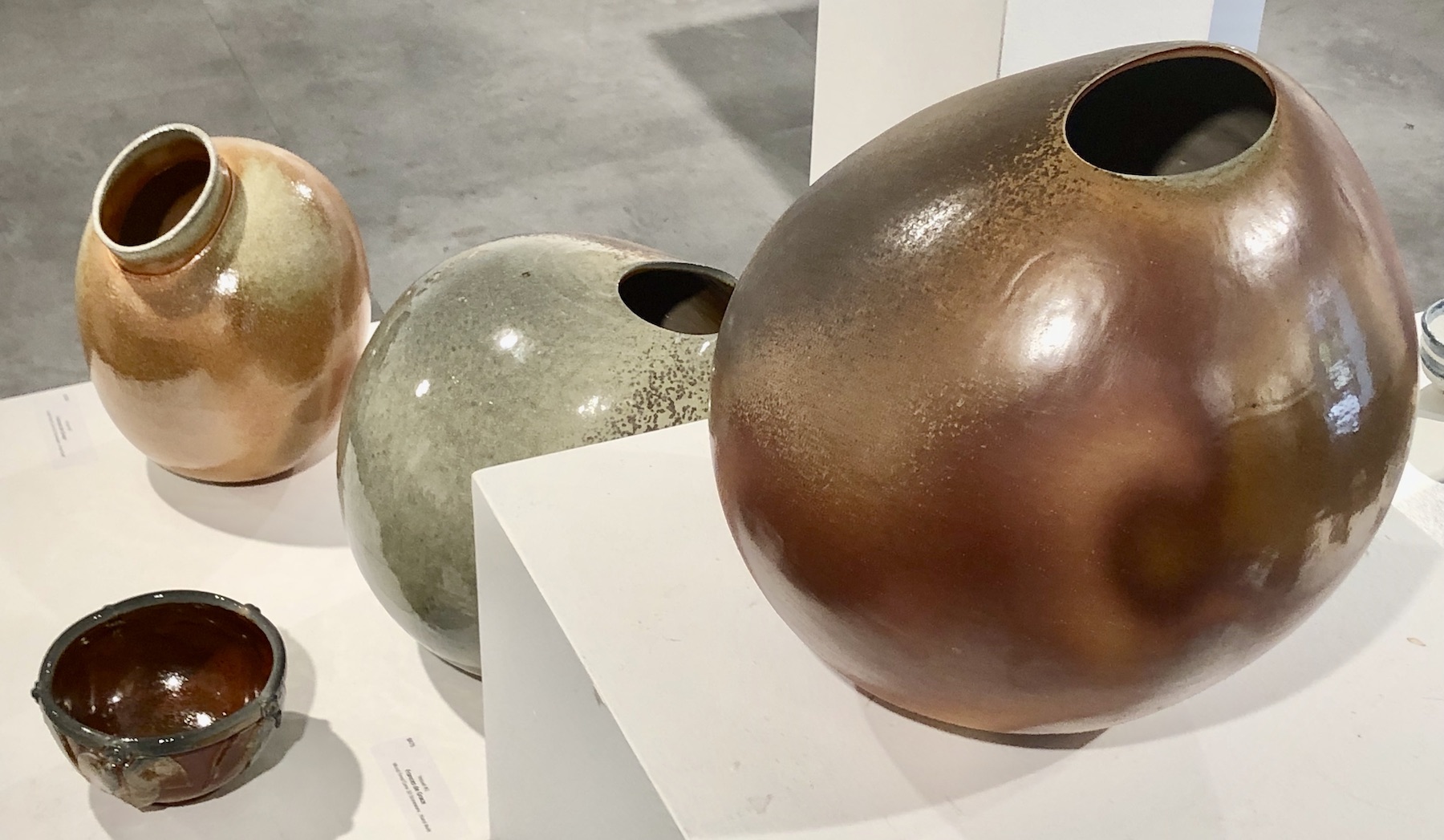 Read more about the article FVPG Show & Sale